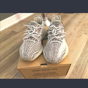 Yeezy boost 350 blue tint